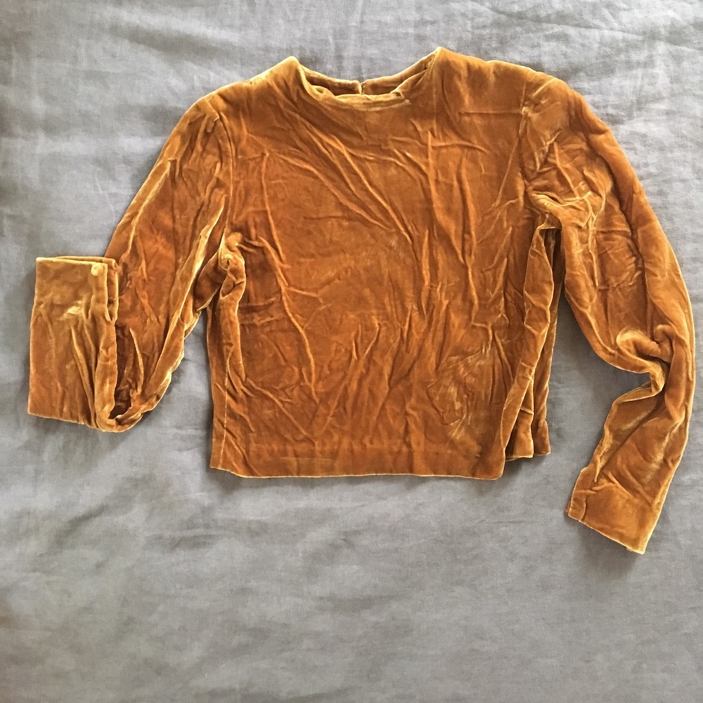 Vintage Velvet Cropped Top
